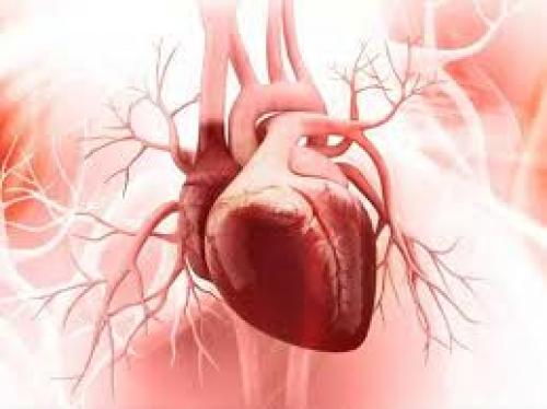 پیشگیری از سکته قلبی با رژیم غذایی