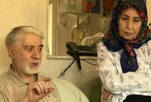 در دیدار برخی اصلاح‌طلبان با لیدر فتنه چه گذشت؟