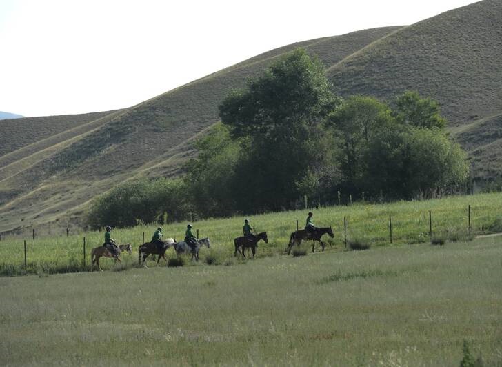 جشنواره اسب وانسان درقرقیزستان جشنواره اسب وانسان درقرقیزستان