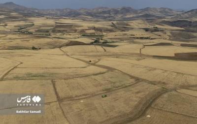  برداشت گندم از مزارع استان کردستان /عکس