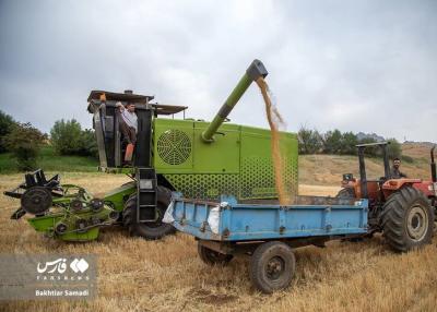  برداشت گندم از مزارع استان کردستان /عکس