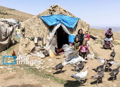  کوچ ییلاقی عشایر «قاراداغ»/عکس