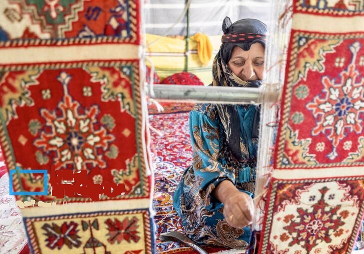  کوچ ییلاقی عشایر «قاراداغ»/عکس