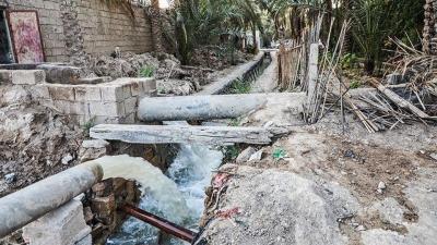بازگشت زندگی به نخلستان‌های خوزستان 