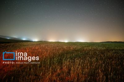بارش شهابی برساوشی