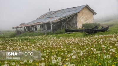 روستای «اِسپِرِز» سوادکوه بر فراز ابرها 