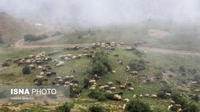 روستای «اِسپِرِز» سوادکوه بر فراز ابرها 