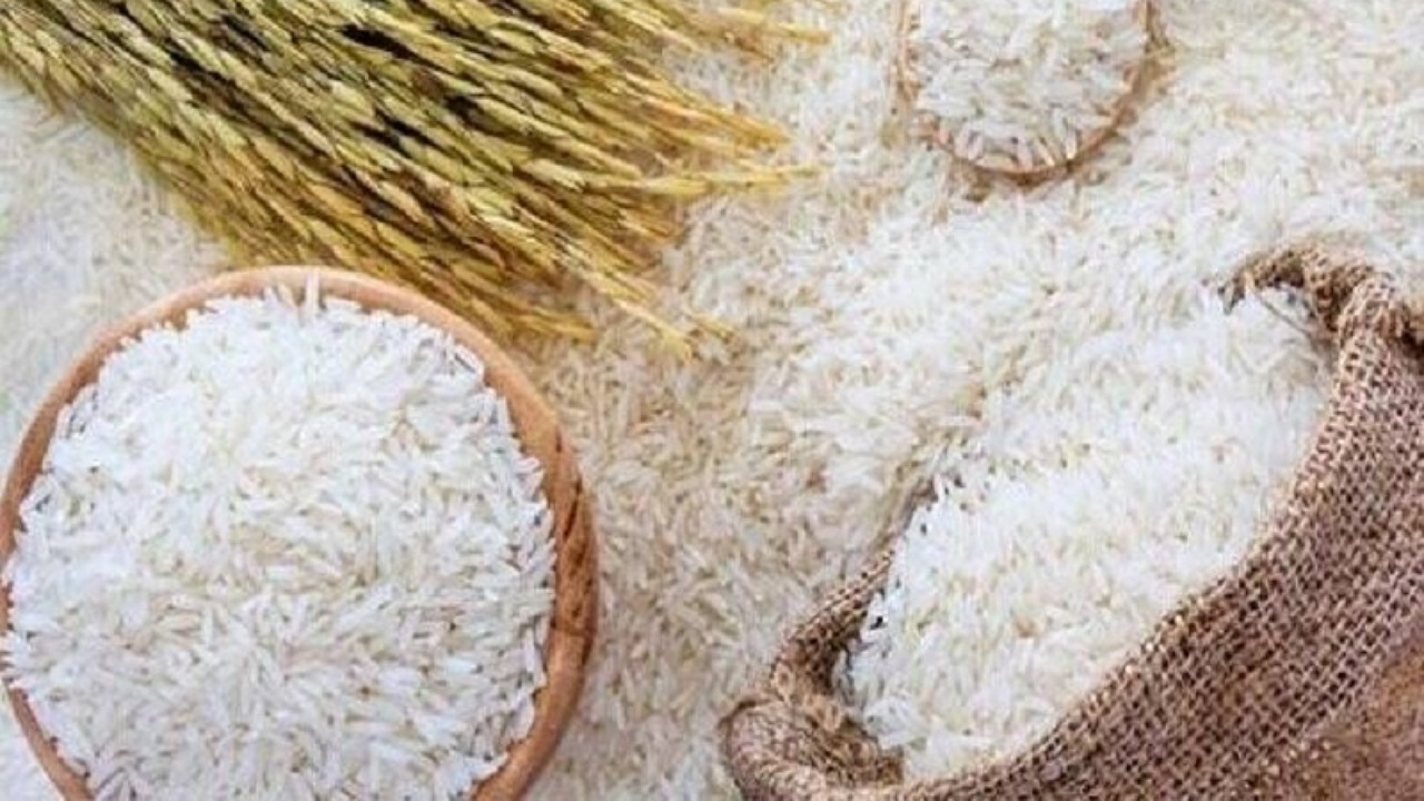 شیب کاهشی قیمت برنج استمرار دارد 
