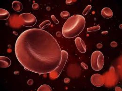  ۱۰ ماده غذایی برای افزایش پلاکت خون 