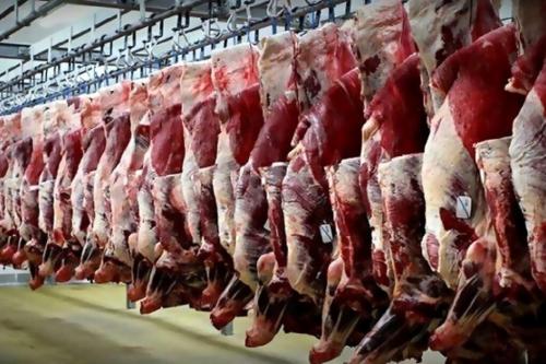 ثبت سفارش گوشت قرمز فردا آغاز می‌شود