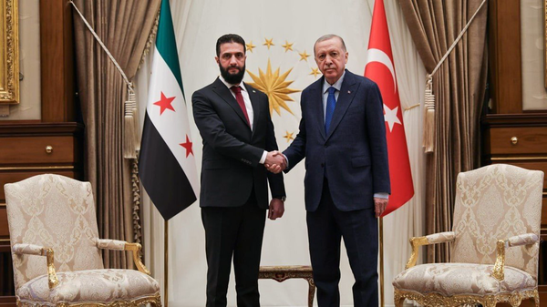 اردوغان سوریه را قربانی بحران اقتصادی ترکیه می‌کند