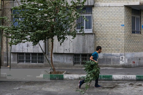 صدور هشدار هواشناسی؛ وزش باد شدید و گرد و خاک در تهران
