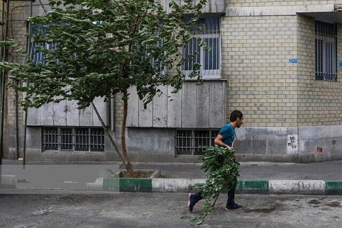 صدور هشدار هواشناسی؛ وزش باد شدید و گرد و خاک در تهران