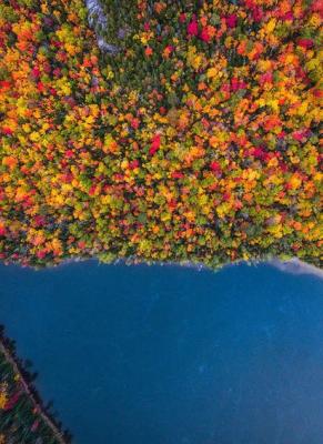 عکس/ تصاویر هوایی و زیبا از مناظر پاییزی 