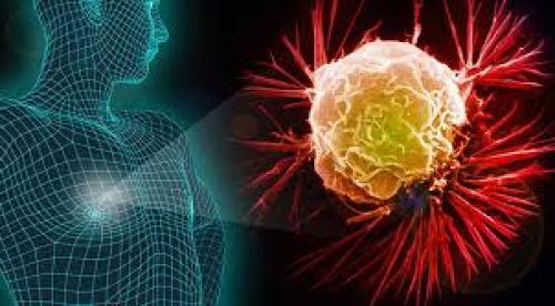 چه کنیم تا به سرطان مبتلا نشویم؟  چه کنیم تا به سرطان مبتلا نشویم؟