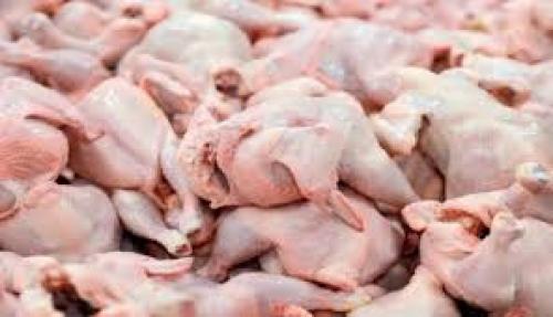 قیمت مرغ امروز دوشنبه ۱۴ مهر+جدول