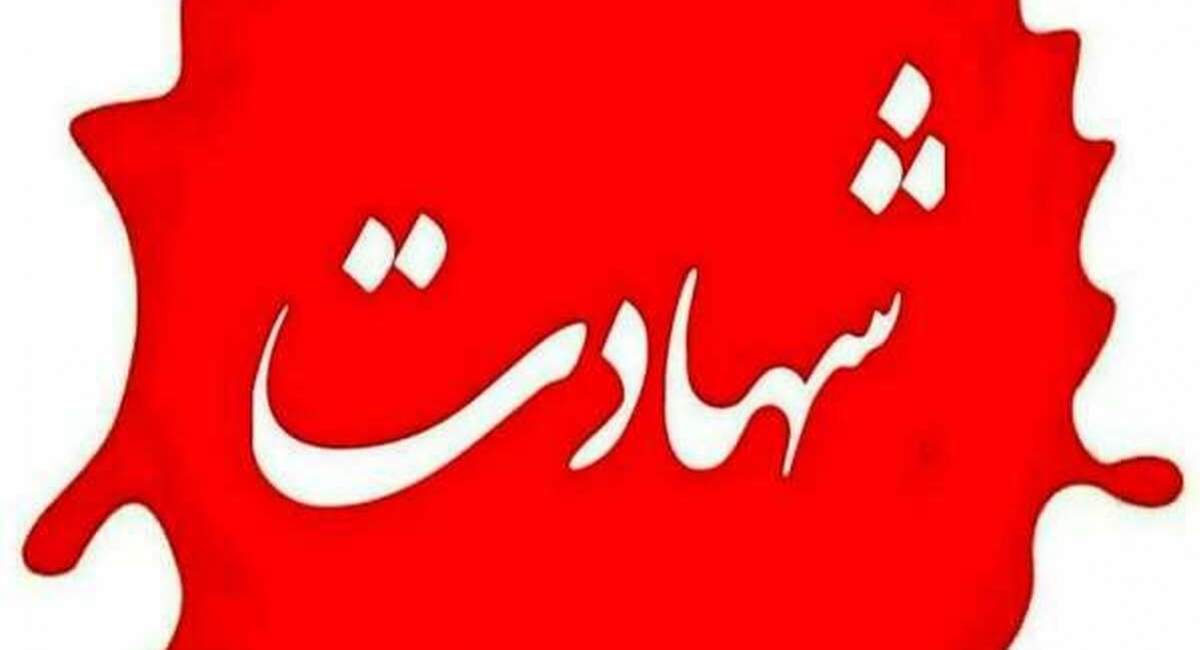 شهادت ۲ نیروی حافظ امنیت در سروآباد 
