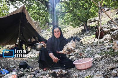 تصاویردلپذیراززندگی عشایری