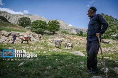 تصاویردلپذیراززندگی عشایری