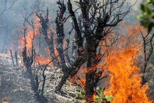 مهار آتش‌سوزی کوه هفت تنان دزفول پس از ۲ روز