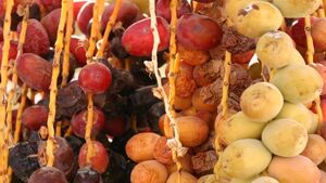  خرمای عراق جای نفت را می‌گیرد