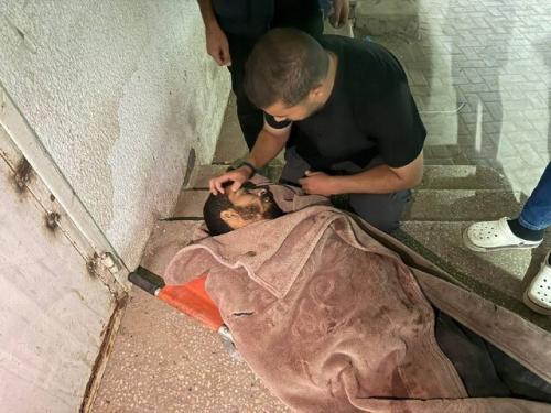 شهادت یک خبرنگار فلسطینی توسط گروهک‌های تبهکار در غزه+عکس