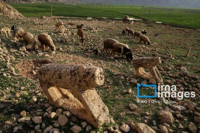 گورستان تاریخی «شهسوار» 