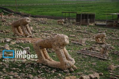  گورستان تاریخی «شهسوار» 