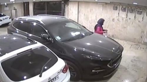 نحوه سرقت زورگیران و سارقان خشن شمال‌غرب تهران /فیلم