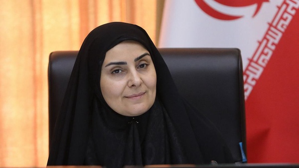 اولین واکنش وزیر راه به موضوع فرودگاه اردبیل