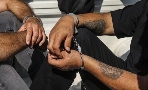  طرح دستگیری سارقان خشن و زورگیر 