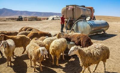 زندگی عشایری در خراسان شمالی