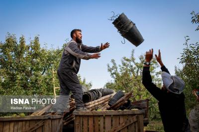 باغ گلابی چناران