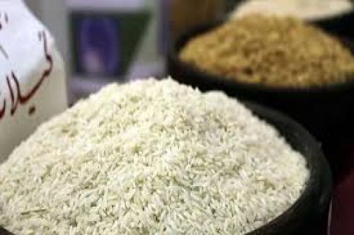 قیمت برنج از کنترل خارج شد