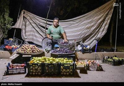 دنیای پرشتاب در دل زندگی مدرن /عکس