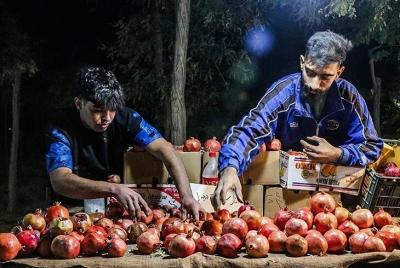 دنیای پرشتاب در دل زندگی مدرن /عکس