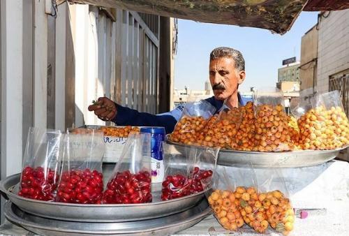 دنیای پرشتاب در دل زندگی مدرن /عکس