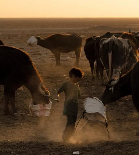تصاویری تکان‌دهنده از خشکسالی شدید در عراق