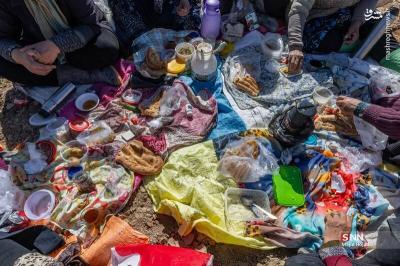 پبرداشت سیب زمینی ازمزارع فیروزکوه