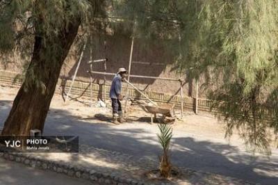 روستای شفیع آباد در استان کرمان