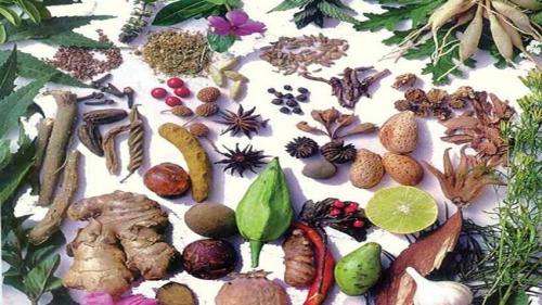 گیاهان دارویی، قاتل چربی خون بالا 