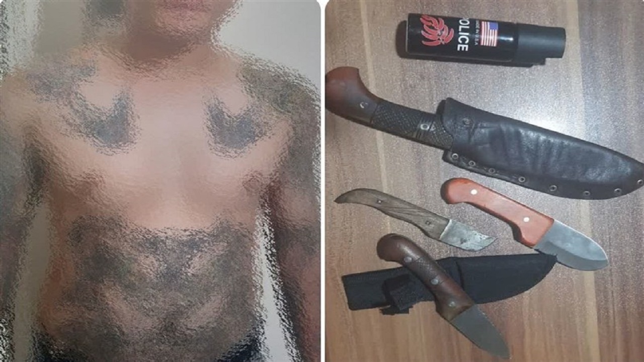 اراذل و اوباش پارک ارم دستگیر شدند اراذل و اوباش پارک ارم دستگیر شدند