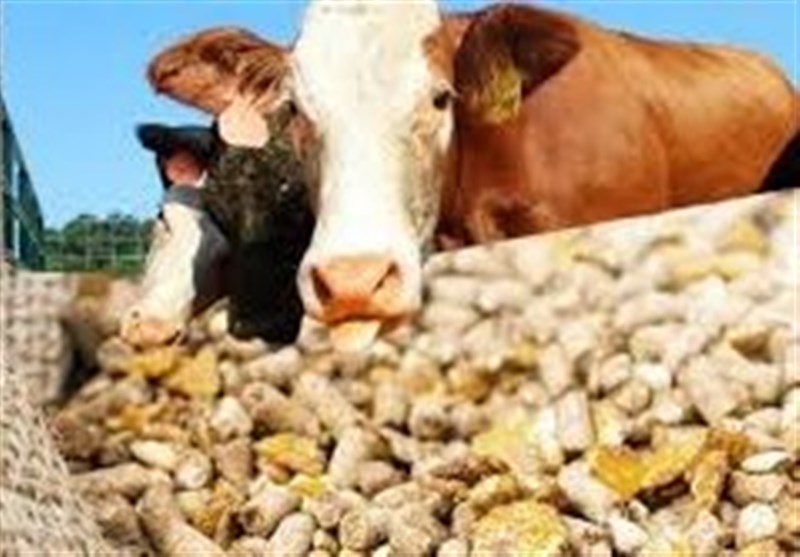 هشدار سازمان بازرسی به وزارت جهاد کشاورزی درباره نهادههای دامی هشدار سازمان بازرسی به وزارت جهاد کشاورزی درباره نهادههای دامی