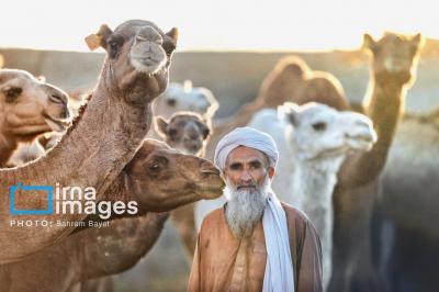 چابهار، رنگ ، فرهنگ ، زندگی