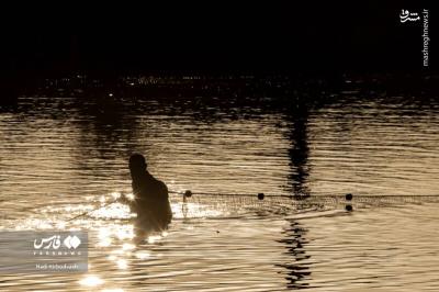 پرورش ماهی مسیری برای اشتغال