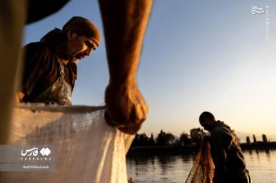 پرورش ماهی مسیری برای اشتغال