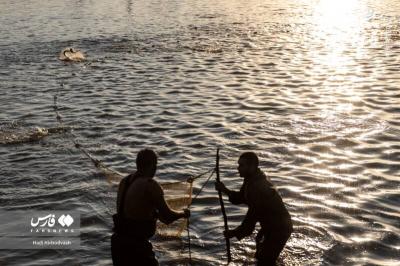 پرورش ماهی مسیری برای اشتغال