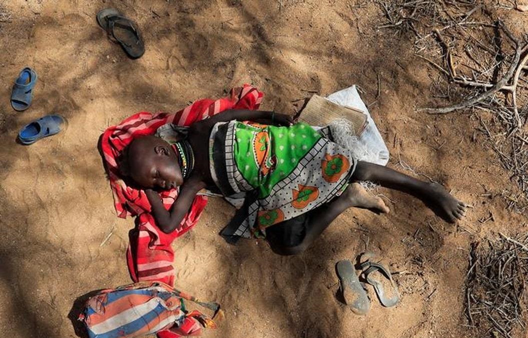 کنیا در خشکسالی، شترها جای گاوها را گرفتند  / فیلم