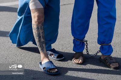  دستگیری ۲۳۳ سارق و مالخر 