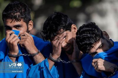  دستگیری ۲۳۳ سارق و مالخر 